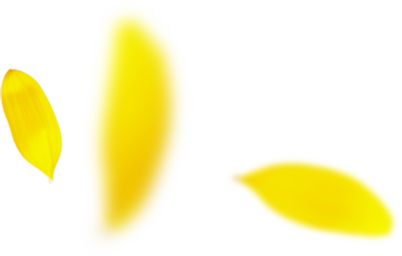 プロのメイク技術が学べる撮影スタジオ