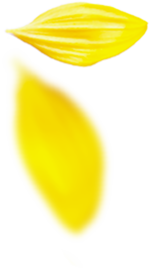 プロのメイク技術が学べる撮影スタジオ