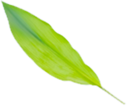 プロのメイク技術が学べる撮影スタジオ