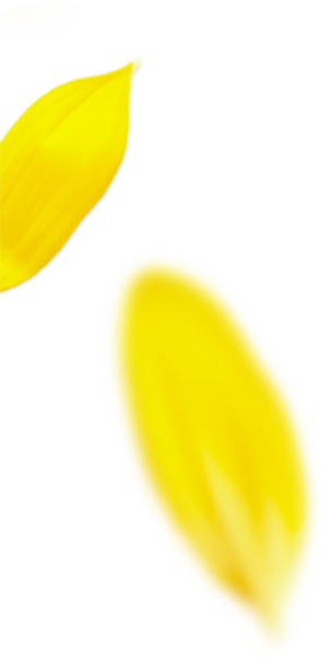 プロのメイク技術が学べる撮影スタジオ