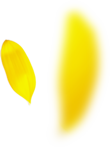 プロのメイク技術が学べる撮影スタジオ