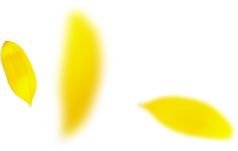 プロのメイク技術が学べる撮影スタジオ