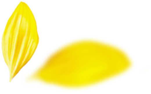 プロのメイク技術が学べる撮影スタジオ