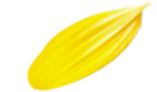 プロのメイク技術が学べる撮影スタジオ