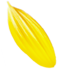 プロのメイク技術が学べる撮影スタジオ