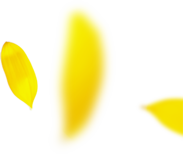 プロのメイク技術が学べる撮影スタジオ