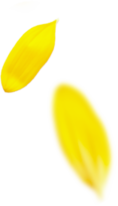 プロのメイク技術が学べる撮影スタジオ