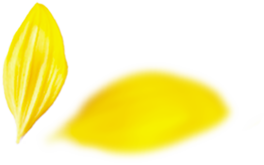 プロのメイク技術が学べる撮影スタジオ