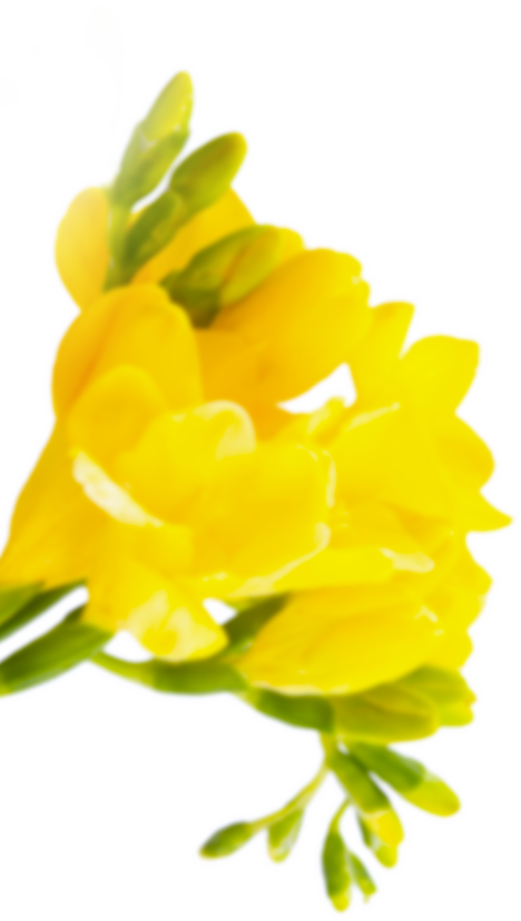 プロのメイク技術が学べる撮影スタジオ