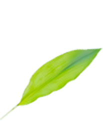 プロのメイク技術が学べる撮影スタジオ