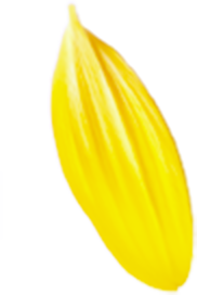 プロのメイク技術が学べる撮影スタジオ