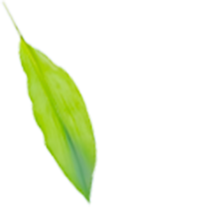 プロのメイク技術が学べる撮影スタジオ