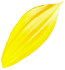 プロのメイク技術が学べる撮影スタジオ