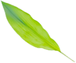 プロのメイク技術.が学べる撮影スタジオ