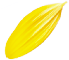 プロのメイク技術が学べる撮影スタジオ